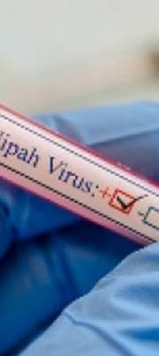 The resurgence of Nipah virus in Kerala The resurgence of Nipah virus in Kerala